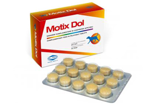 MOTIX DOL 60 COMPRESSE 48 G - farmanauta.it