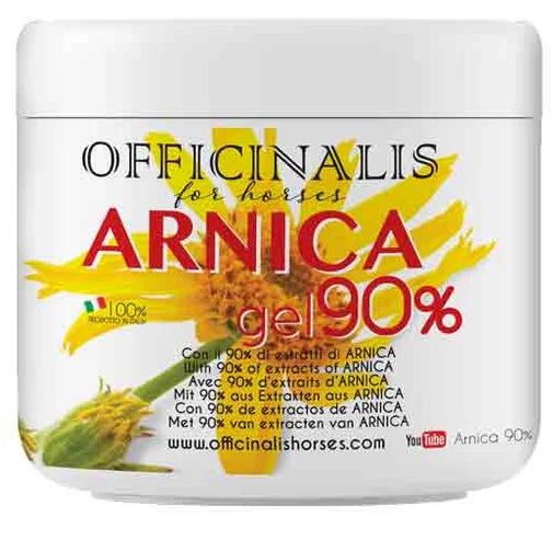 ARNICA GEL 90% 500 ML - farmanauta.it