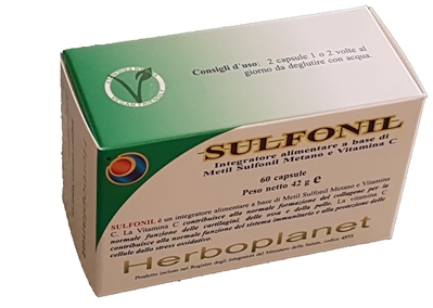 SULFONIL 60 CAPSULE - farmanauta.it