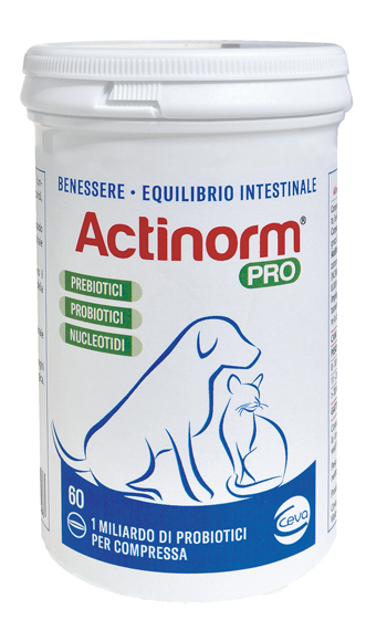ACTINORM PRO FLACONE 60 COMPRESSE - farmanauta.it
