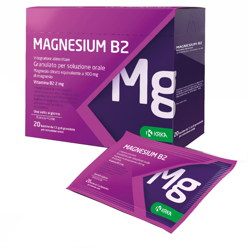 MAGNESIUM B2 300/2MG 20 BUSTINE - farmanauta.it