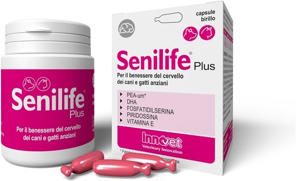 SENILIFE PLUS 60 CAPSULE - farmanauta.it